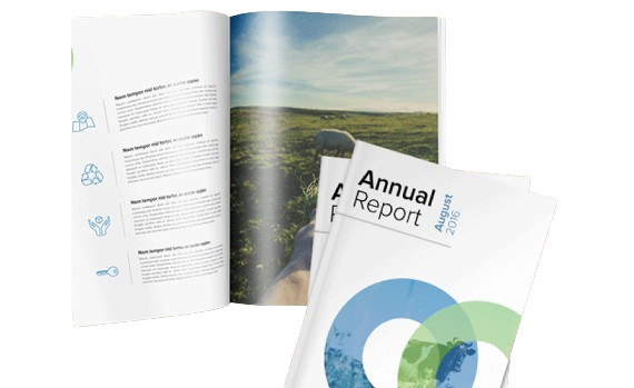 Annual report sample